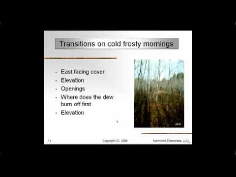 Hunting Grouse Cold Frosty Mornings