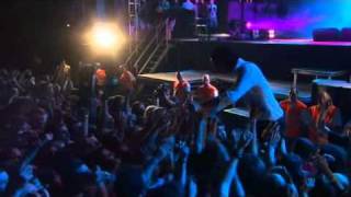 Grinderman - Love Bomb (Live @ Exit Festival, Pro Shot)