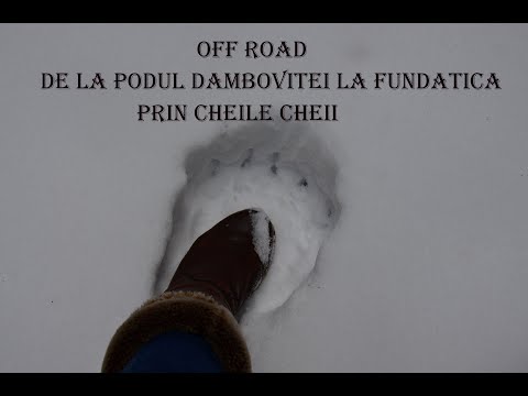 De la Podul Dâmboviței la Fundățica prin Cheile Cheii🚙🐾🌲❄