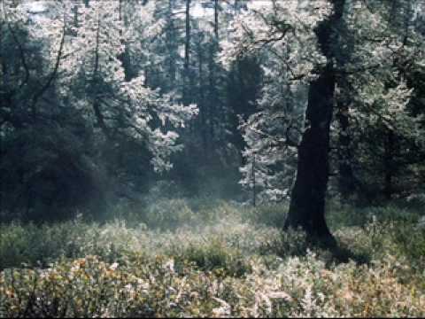 Atem Niblz - Autumn Sigh (Blue Notes Intro Mix)