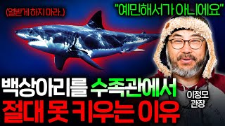 아쿠아리움에 다른 상어는 있지만 백상아리는 절대 없는 이유 | 과학정모 EP.49