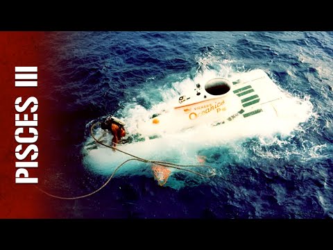 Waterline Stories and 2 more