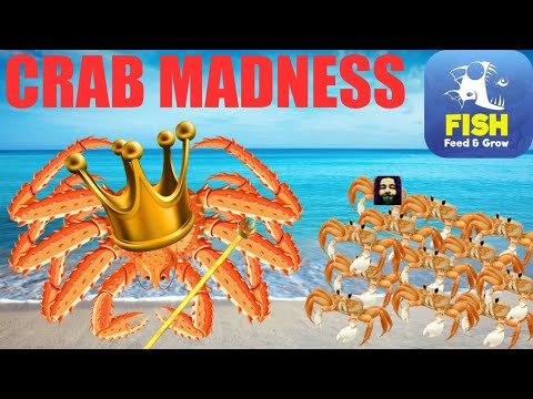 CRAB MADNESS