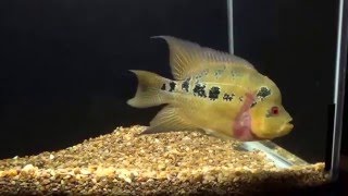 What hobbies should be about