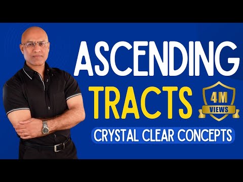 Spinothalamic Tract | Ascending Tracts | Spinocerebellar Tract  | Neuroanatomy