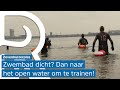 De koude kick van zwemmen in de Zevenhuizerplas: 'Hier is helemaal niemand, heerlijk!'