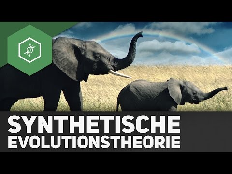 Die synthetische Evolutionstheorie