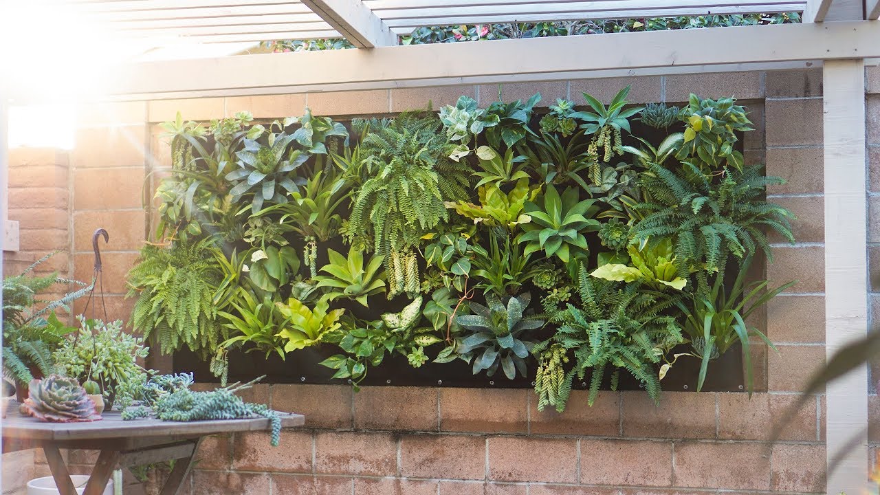 How to Create a Vertical Garden on a Patio Wall