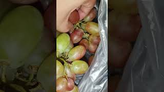 Download lagu seedless grapes 🍇 #fruit #grapes #food #foodies #marigilg mp3