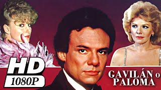 Película - Gavilán o paloma (1985) - REMASTERIZADA HD RESUBIDA