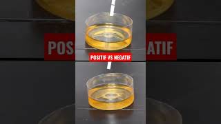 Download lagu DIFFERENCE BETWEEN POSITIVE VS NEGATIVE TEST PACK RESULTS mp3