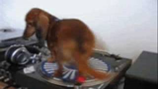 Flyleaf - Smells Like Teen Spirit (Nirvana Cover)