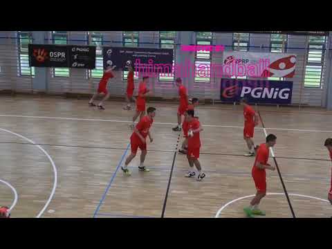 Techniques of defence stealing, traps and blocking by EHF Lecturer Klaus Feldmann online video cutte