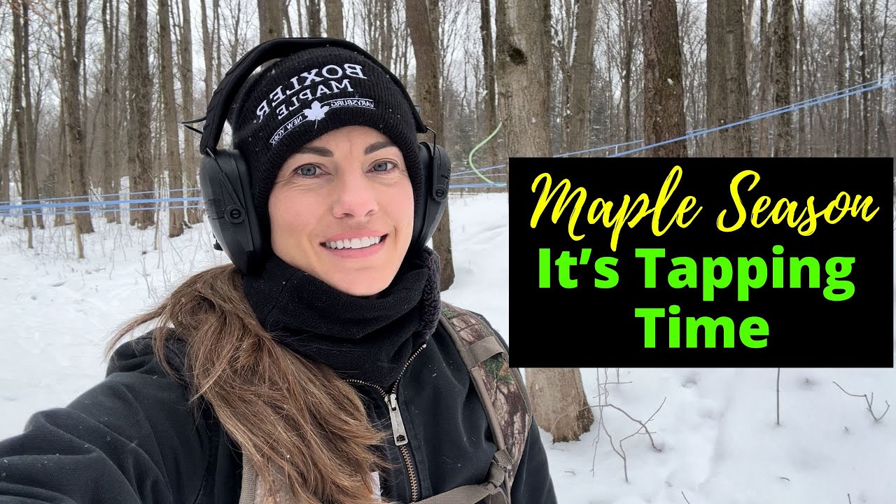 A Day in the Life of a Farmer. It’s Tapping Time for Maple Syrup Season!