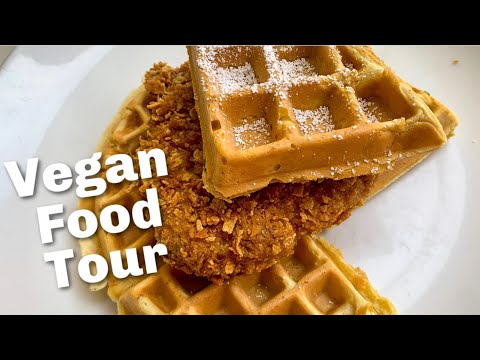 download lagu mp3 mp4 Vegan Restaurants Iowa City, download lagu Vegan Restaurants Iowa City gratis, unduh video klip Vegan Restaurants Iowa City