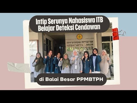 blog-left