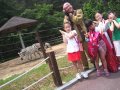 Zoo Phonics Korean Friends At The Zoo Zeke Zebra Z Z Z AVI