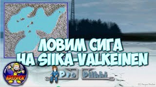Ссылка