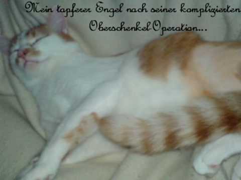 Billy - Juli 2007 bis November 2008