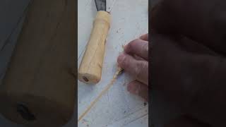 שיבולת חיטה