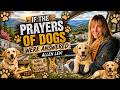 If the prayers of Dogs were answered - Allen Levi