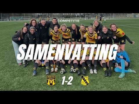 Samenvatting DVS’33 VR1 - VIOS VR1