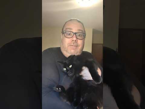 On #blackcatappreciationday a special message from Her Furresty Delilah Bijou #blackcats #halloween