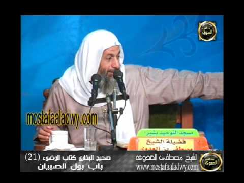  شرح صحيح البخارى   كتاب الوضوء 21 