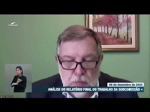 Subcomissão que acompanha educação na pandemia aprecia relatório final