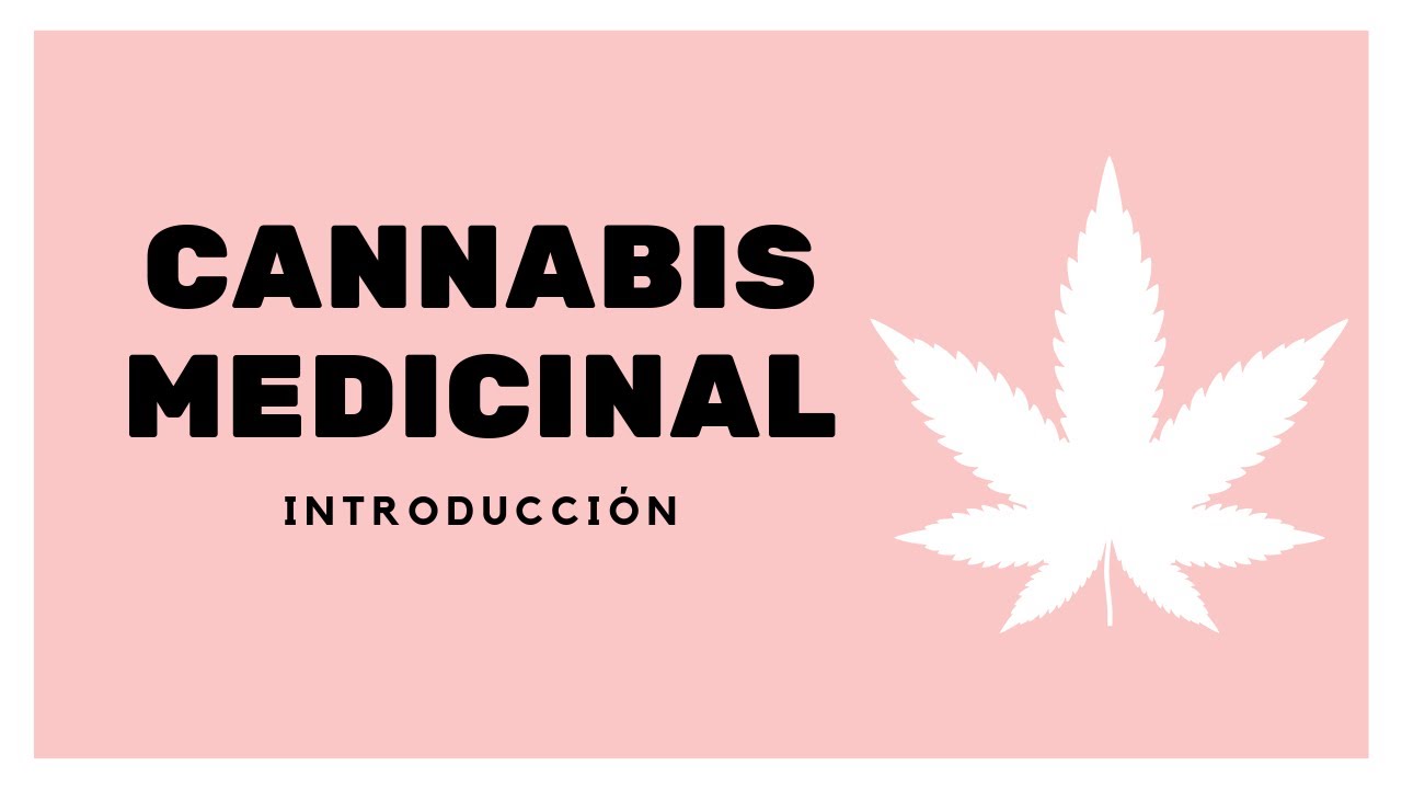 ¿Qué es el cannabis medicinal?