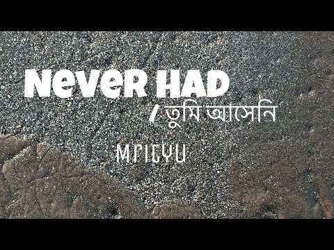 NEVER HAD