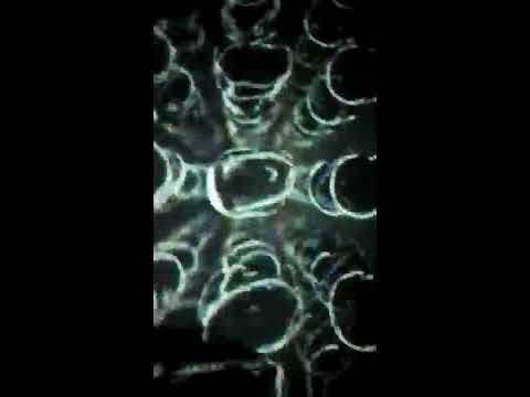 ONE NIGHT IN SOPOT ╳ JACEK SIENKIEWICZ  26.11.2016