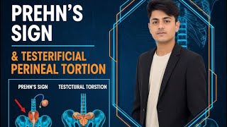 Download lagu Prehn Sign, Testicular torsion, Hydrocele, Hernia | Lecture#12 | Surgery | Dr. AbdUllah mp3