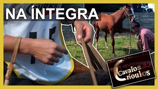 Miniatura do vídeo
