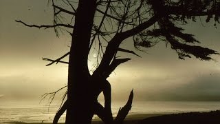 Just a Closer Walk with Thee Music Video
