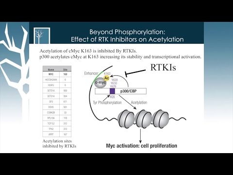 Mapping Signaling Networks in Cancer  Phosphorylation and Beyond