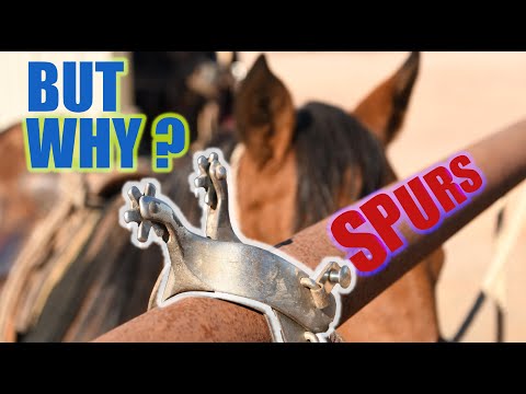 HOW TO USE SPURS FOR THE FIRST TIME