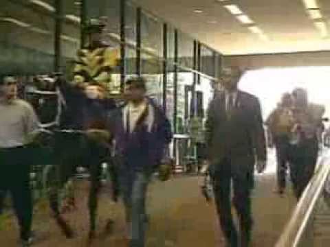 Very Best of 2004 Breeders' Cup Races 2-9