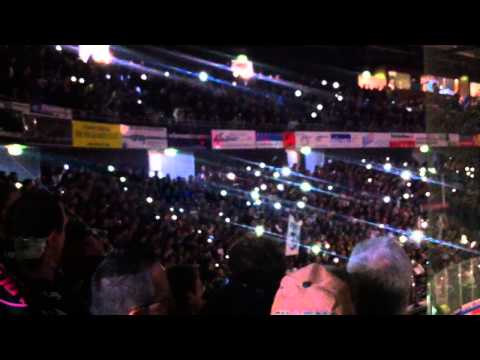 SERC 04 Wild Wings - Bietigheim Steelers 21.04.2013 (Play Offs Finale, Spiel 2)