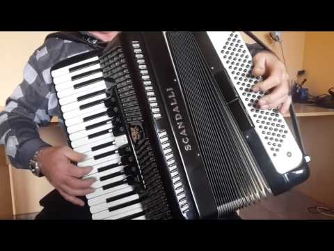 Scandalli Vintage LMMM Musette Accordion 120 bass Custom Built Fisarmonica +Case (1)