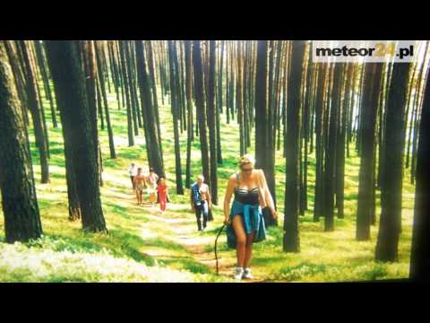 Całoroczny Domek Letniskowy w Borach Tucholskich - Płęsno meteor24.pl