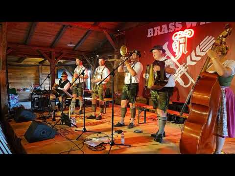 Hallgrafen Musikanten: "Wir grüßen euch" - Brass Wiesn 2024