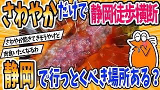 【2ch旅スレ】ワイ、“さわやか”食うためだけに静岡を徒歩横断ｗｗｗ→静岡ガチ勢おすすめスポットが強すぎた件🍖