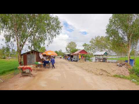 Countryside Street Food Tour in Takeo and Kandal Provinces, Cambodia, Phnom Penh Market Scenes