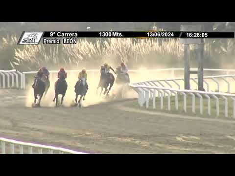 SINT COLONIA 240613 c09 - 1° SULTANA PRETA