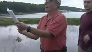 Cape Cod Trip: Cranberry Bog
