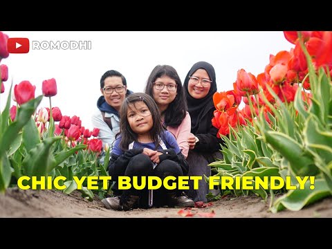 Netherlands Tulip Garden on a Budget 🌷 The Tulip Barn Experience