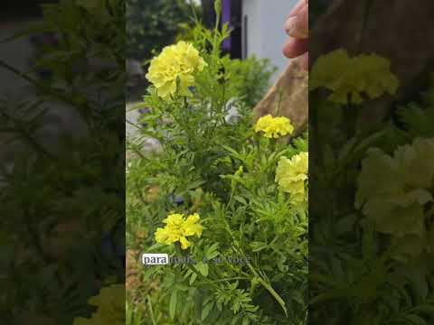 ITORORÓ BAHIA #viralvideos #motivacional #influenciadordigital #istagaram #frases