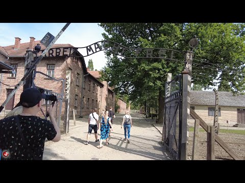 AUSCHWITZ  -  Claudiu Simion