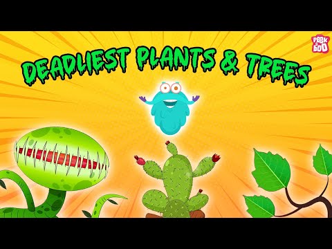 Deadliest Plants & Trees | Most Dangerous Plants & Trees | Poison Ivy, Manchineel Tree & More